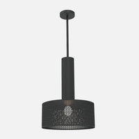 Alula Modern Black Pendant Light