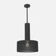 Alula Modern Black Pendant Light